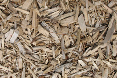 biomass boilers Whitepits